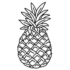 ananas.jpg